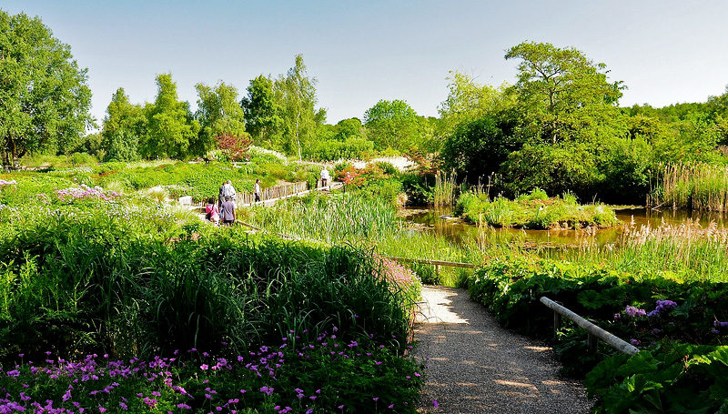 A Day Out at Pensthorpe Gardens