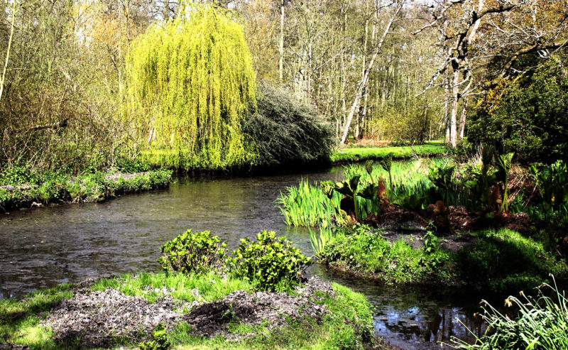 5 Things To Do At Fairhaven Woodland and Water Garden