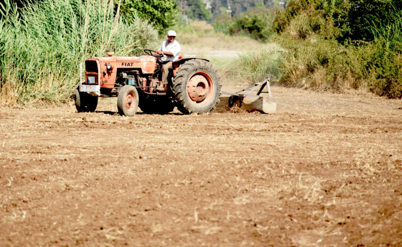 Top 5 Farm Days Out in Norfolk