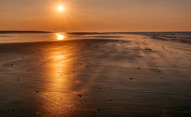 What you need to know about Titchwell Marsh