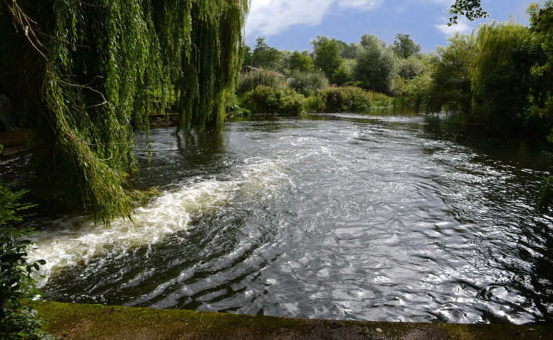 A day out at Taverham Mill