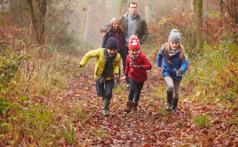 Top Norfolk Autumn Walks