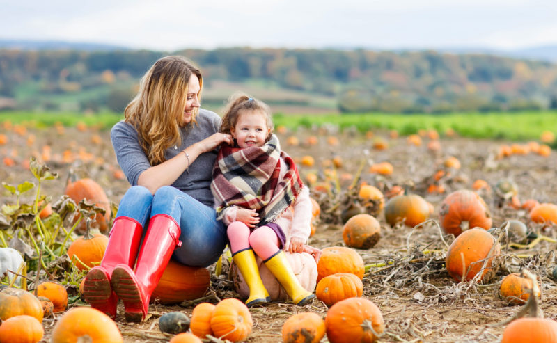 Undley Farm Pumpkin Patch