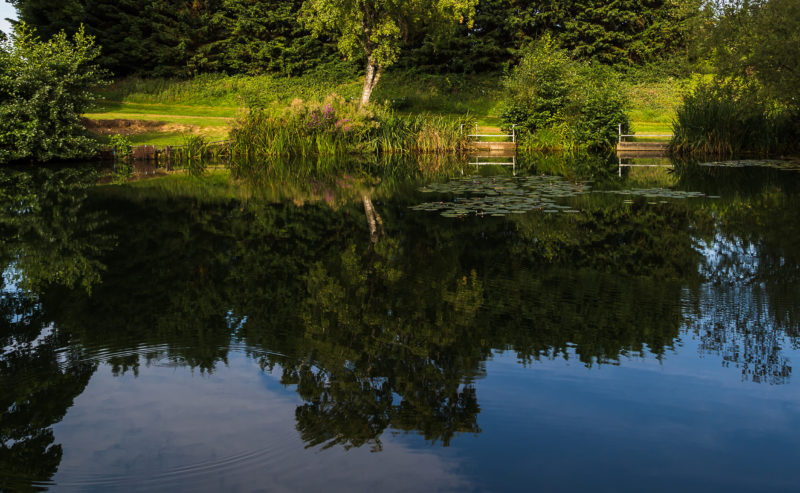 Best lakes in Norfolk