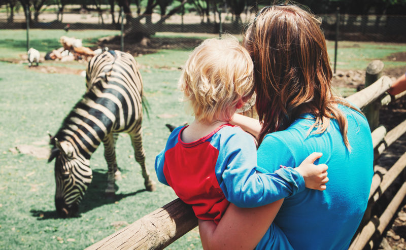 A Day Out at Banham Zoo