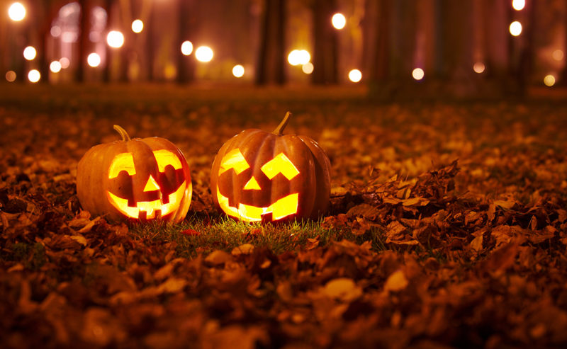 What To Get Up To On Halloween